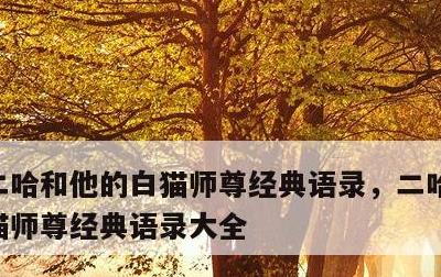 二哈和他的白猫师尊经典语录，二哈和他的白猫师尊经典语录大全