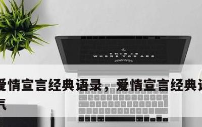 爱情宣言经典语录，爱情宣言经典语录8字霸气