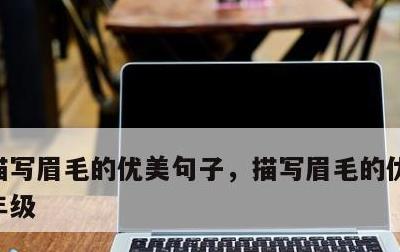 描写眉毛的优美句子，描写眉毛的优美句子二年级