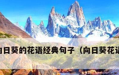 向日葵的花语经典句子，向日葵花语经典短句