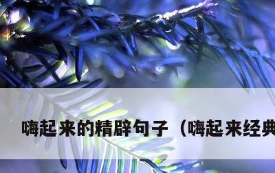 嗨起来的精辟句子，嗨起来经典语录
