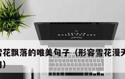 雪花飘落的唯美句子，形容雪花漫天飞舞的诗句