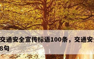 交通安全宣传标语100条，交通安全顺口溜8句