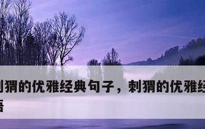 刺猬的优雅经典句子，刺猬的优雅经典句子英语