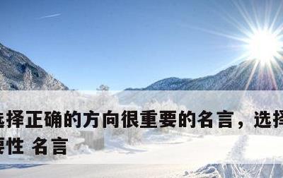 选择正确的方向很重要的名言，选择方向的重要性 名言