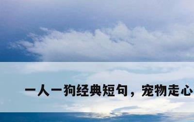 一人一狗经典短句，宠物走心文案