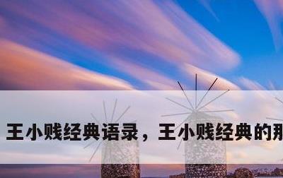 王小贱经典语录，王小贱经典的那段台词