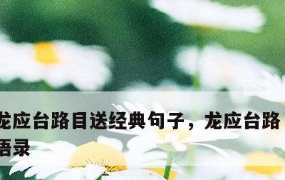 龙应台路目送经典句子，龙应台路 目送经典语录