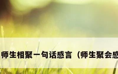 师生相聚一句话感言，师生聚会感言短语
