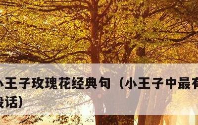 小王子玫瑰花经典句，小王子中最有意义的一段话