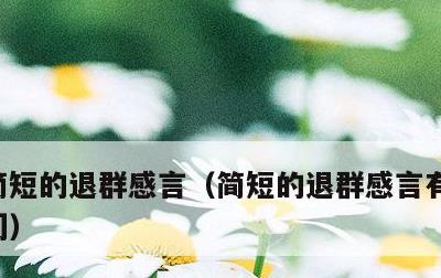简短的退群感言，简短的退群感言有幸遇见你们