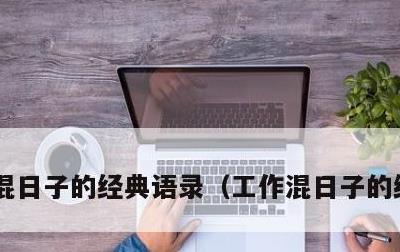 混日子的经典语录，工作混日子的经典语录