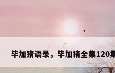 毕加猪语录，毕加猪全集120集语录