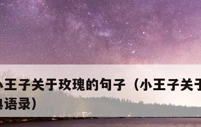 小王子关于玫瑰的句子，小王子关于玫瑰的经典语录