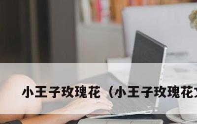 小王子玫瑰花，小王子玫瑰花文案