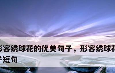 形容绣球花的优美句子，形容绣球花的优美句子短句