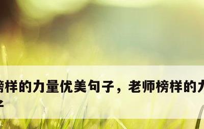 榜样的力量优美句子，老师榜样的力量优美句子