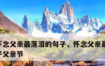 怀念父亲最落泪的句子，怀念父亲最落泪的句子父亲节