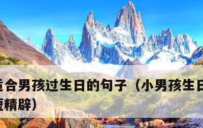 适合男孩过生日的句子，小男孩生日祝福语简短精辟