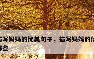 描写妈妈的优美句子，描写妈妈的优美句子有哪些