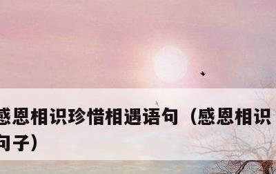 感恩相识珍惜相遇语句，感恩相识 珍惜相遇句子