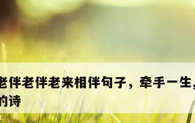 老伴老伴老来相伴句子，牵手一生,相伴到老的诗