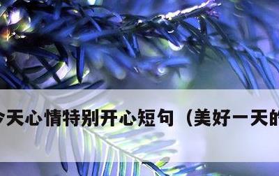 今天心情特别开心短句，美好一天的心情短语