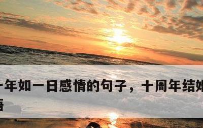 十年如一日感情的句子，十周年结婚纪念日短语
