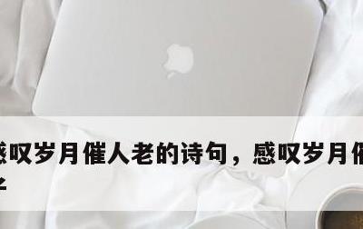 感叹岁月催人老的诗句，感叹岁月催人老的句子