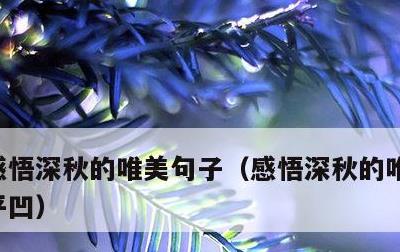 感悟深秋的唯美句子，感悟深秋的唯美句子贾平凹