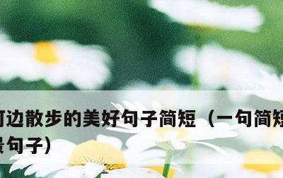 河边散步的美好句子简短，一句简短的河边风景句子