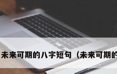 未来可期的八字短句，未来可期的上一句
