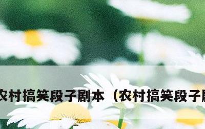农村搞笑段子剧本，农村搞笑段子剧本台词