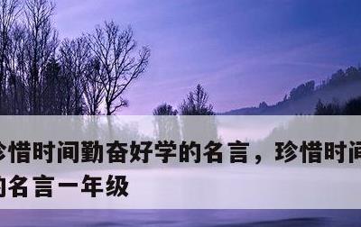 珍惜时间勤奋好学的名言，珍惜时间勤奋好学的名言一年级