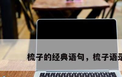 梳子的经典语句，梳子语录
