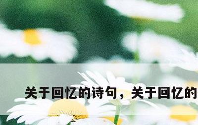 关于回忆的诗句，关于回忆的名言