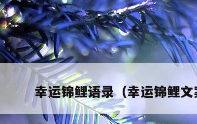 幸运锦鲤语录，幸运锦鲤文案