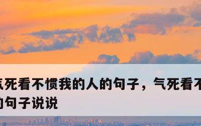 气死看不惯我的人的句子，气死看不惯我的人的句子说说