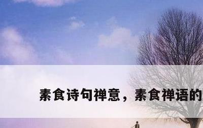 素食诗句禅意，素食禅语的诗