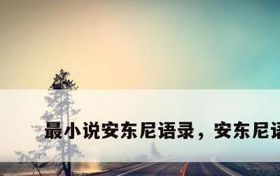 最小说安东尼语录，安东尼语句