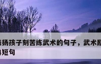 表扬孩子刻苦练武术的句子，武术励志语录经典短句