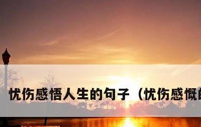 忧伤感悟人生的句子，忧伤感慨的句子