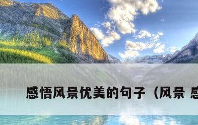 感悟风景优美的句子，风景 感悟