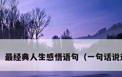 最经典人生感悟语句，一句话说透人生