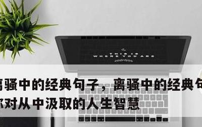 离骚中的经典句子，离骚中的经典句子并谈谈你对从中汲取的人生智慧