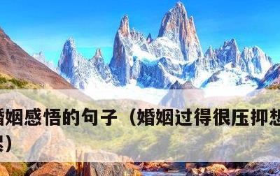 婚姻感悟的句子，婚姻过得很压抑想离婚心很累
