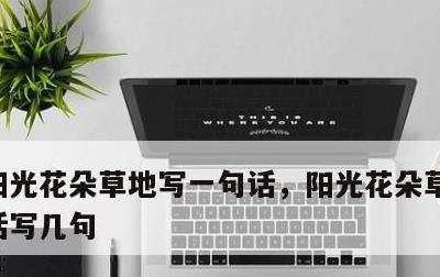阳光花朵草地写一句话，阳光花朵草地写一段话写几句