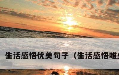 生活感悟优美句子，生活感悟唯美说说