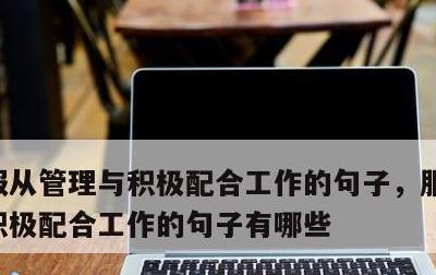 服从管理与积极配合工作的句子，服从管理与积极配合工作的句子有哪些