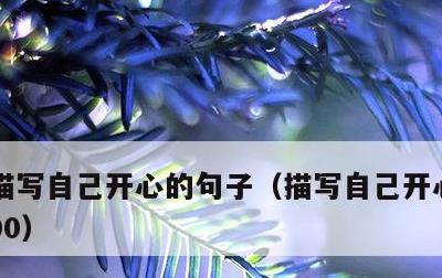 描写自己开心的句子，描写自己开心的句子100